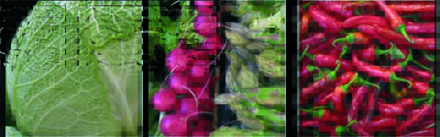 Three photos of cabbage, radish, asparagus and pepper - JBLArts photography