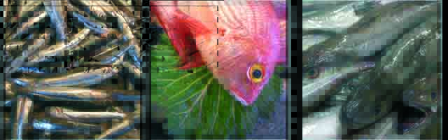 Fishes at the Venice market - JBLArts photography