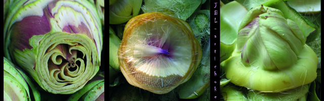 Three photos of artichokes - JBLArts photography