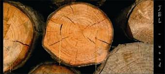 A woodpile - JBLArts photography