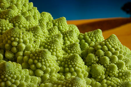 A green fractal cabbage on an orange set - JBLArts photography Fine Art Colours