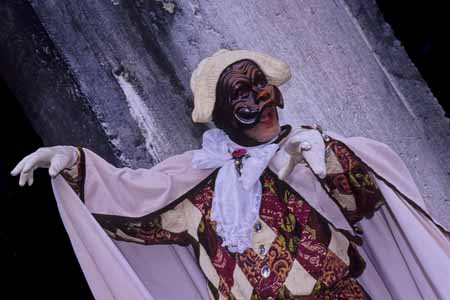 Harlequin- JBLArts photography