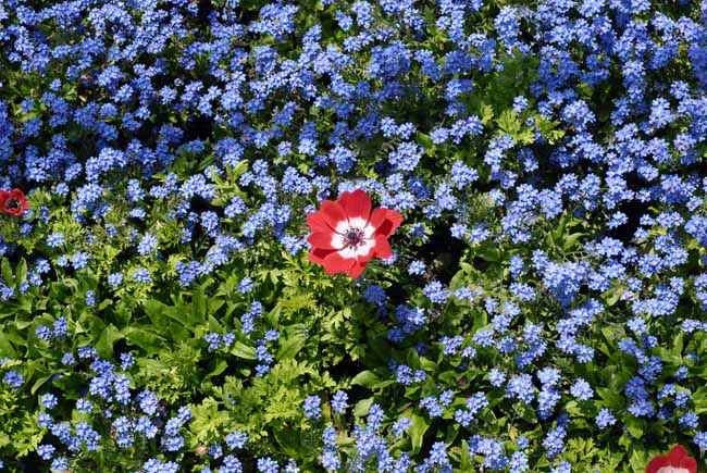 Surrounded - The Gardens of Trauttmansdorff Castle, Meran, JBLArts photography