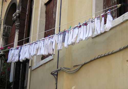Laundry in the house of a millepede - Hanging out in Venice, JBLArts photography