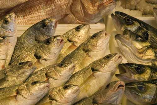 Fish-tunes - Rialto's fish-market in Venice, JBLArts photography