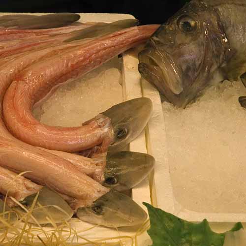 Hey, you are naked! - Rialto's fish-market in Venice, JBLArts photography