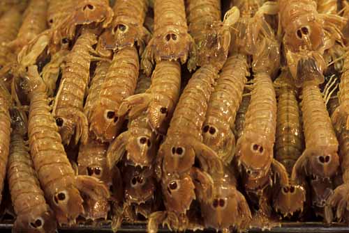 Canoce - Rialto's fish-market in Venice, JBLArts photography