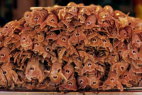 Canoce tails - Rialto's fish-market in Venice, JBLArts photography