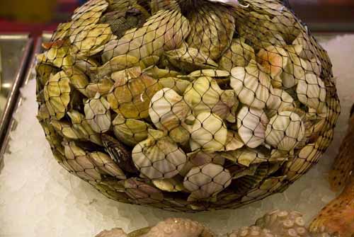 Pectens - Rialto's fish-market in Venice, JBLArts photography