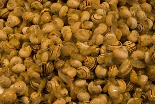 Bovoeti - Rialto's fish-market in Venice, JBLArts photography