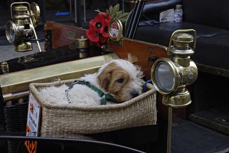 Veteran Car Run, November 2007 - London to Brighton: Veteran Car Run, JBLArts photography