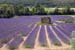 Lavender lines - Lavender land, Provence, JBLArts photography
