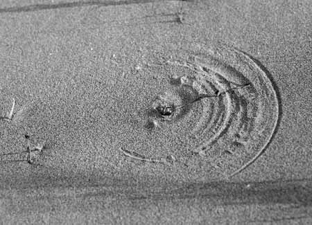 Circle in the sand crated by the wind and a seaweed - Seaside in Winter, JBLArts photography