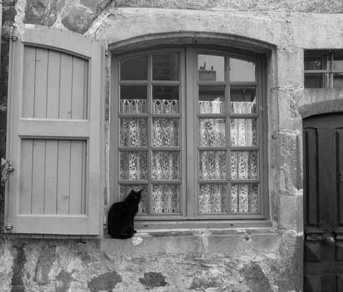 French cat on a window with embroidery - Le Puy En Velay, France, JBLArts photography