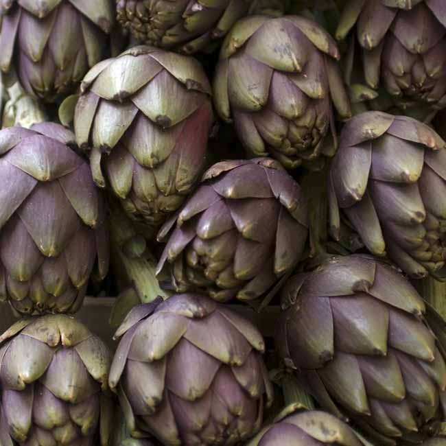 Artichokes - Artichokes at the open-air market in Padua, Italy, JBLArts photography