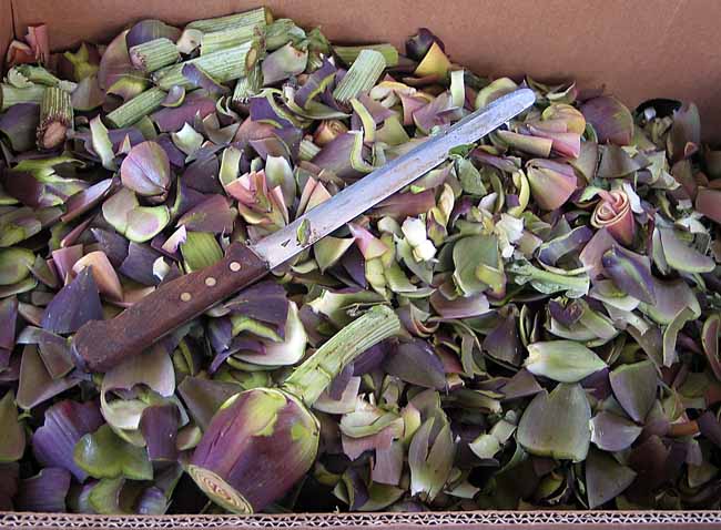 Artichoke cut out - Artichokes at the open-air market in Padua, Italy, JBLArts photography