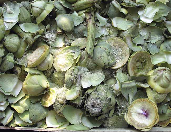Artichoke cut out - Artichokes at the open-air market in Padua, Italy, JBLArts photography