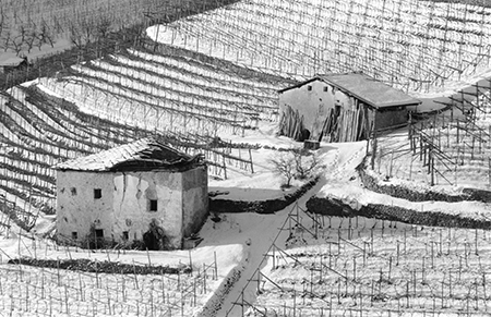 Snow landscape in a wine field in the mountain  - JBLArts photography